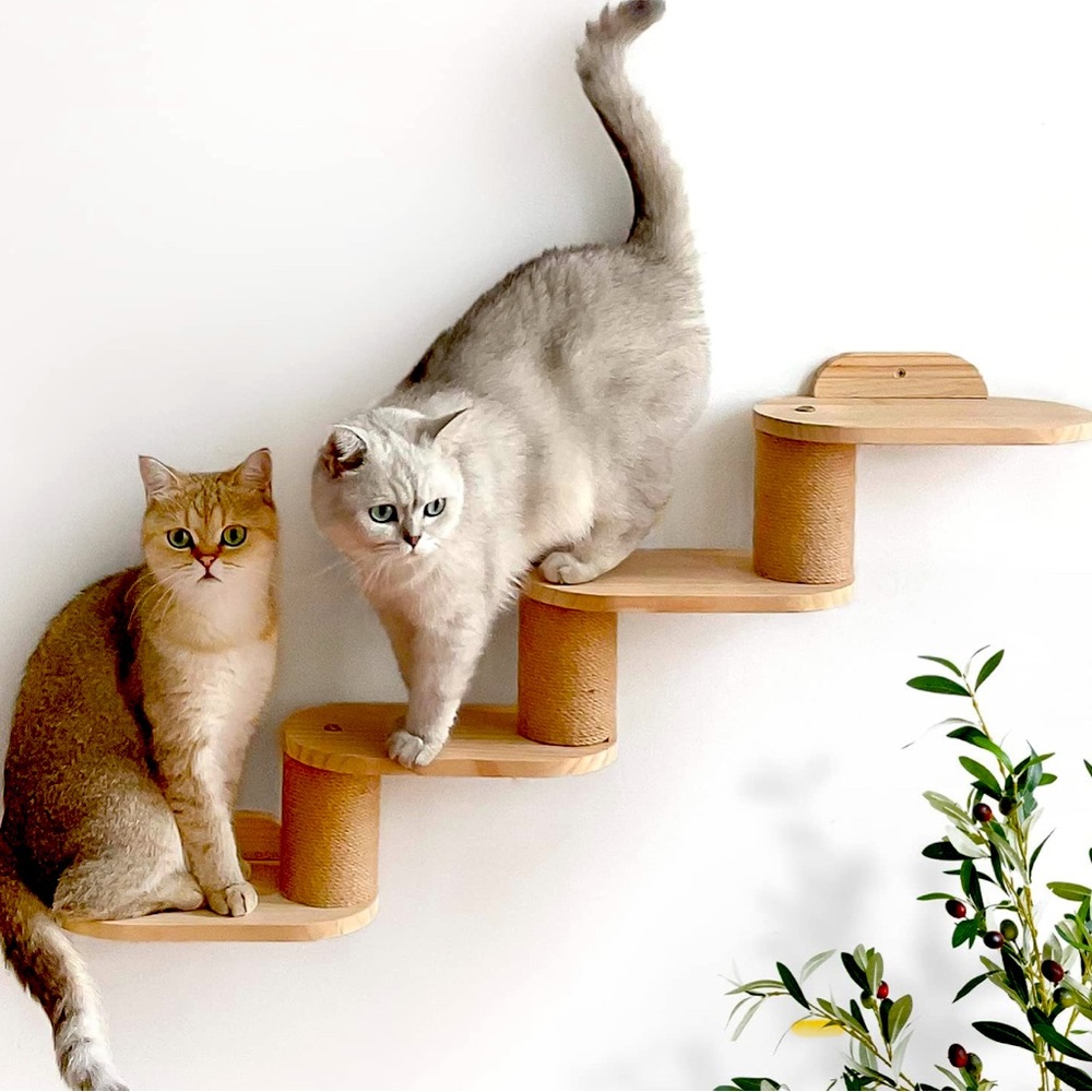 Cat wall tower